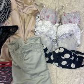 012【オークション】ブランド多数♪全部入ります♪品質さまざまな♪全部中古♪女性用パンティー.ブラ♪サイズいろいろ♪まとめ売り