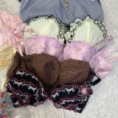 010【オークション】ブランド多数♪全部入ります♪品質さまざまな♪全部中古♪女性用パンティー.ブラ♪サイズいろいろ♪まとめ売り